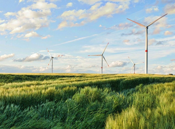 Laon, Ville Durable : Initiatives Écologiques pour un Avenir Vert