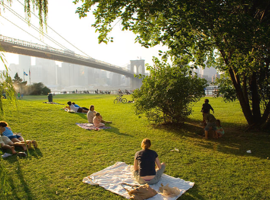 Laon se mobilise contre le bruit : Un plan d'action ambitieux pour les cinq prochaines années