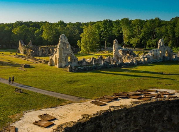 L'Abbaye de Vauclair : une immersion dans l'histoire cistercienne au cœur de la nature