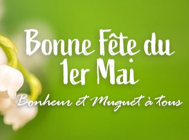 Le Muguet du 1er Mai : Une Tradition Porte-bonheur
